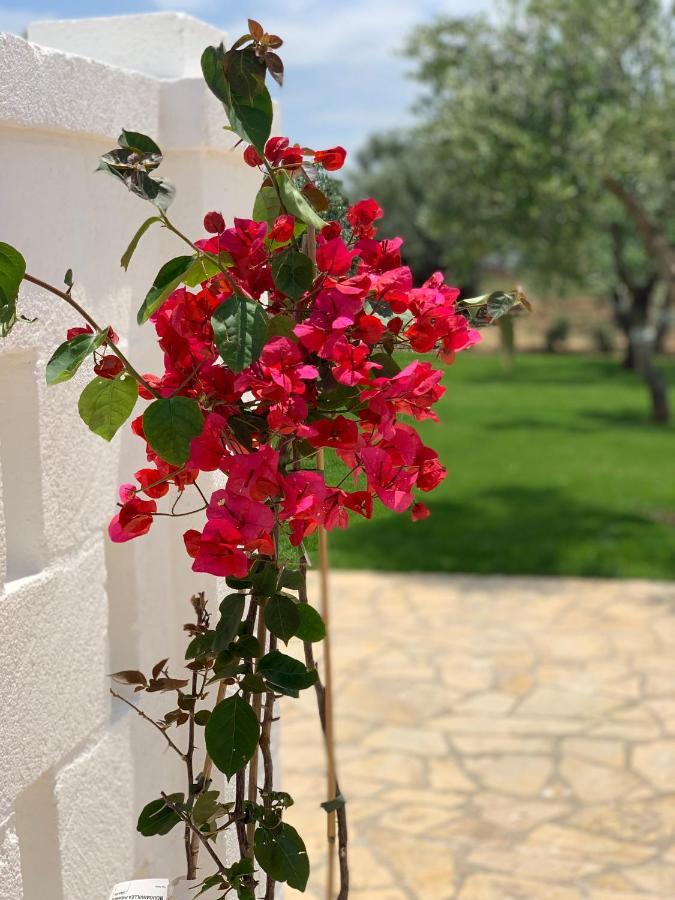 L'Ulivo Bed And Breakfast Savelletri Екстер'єр фото