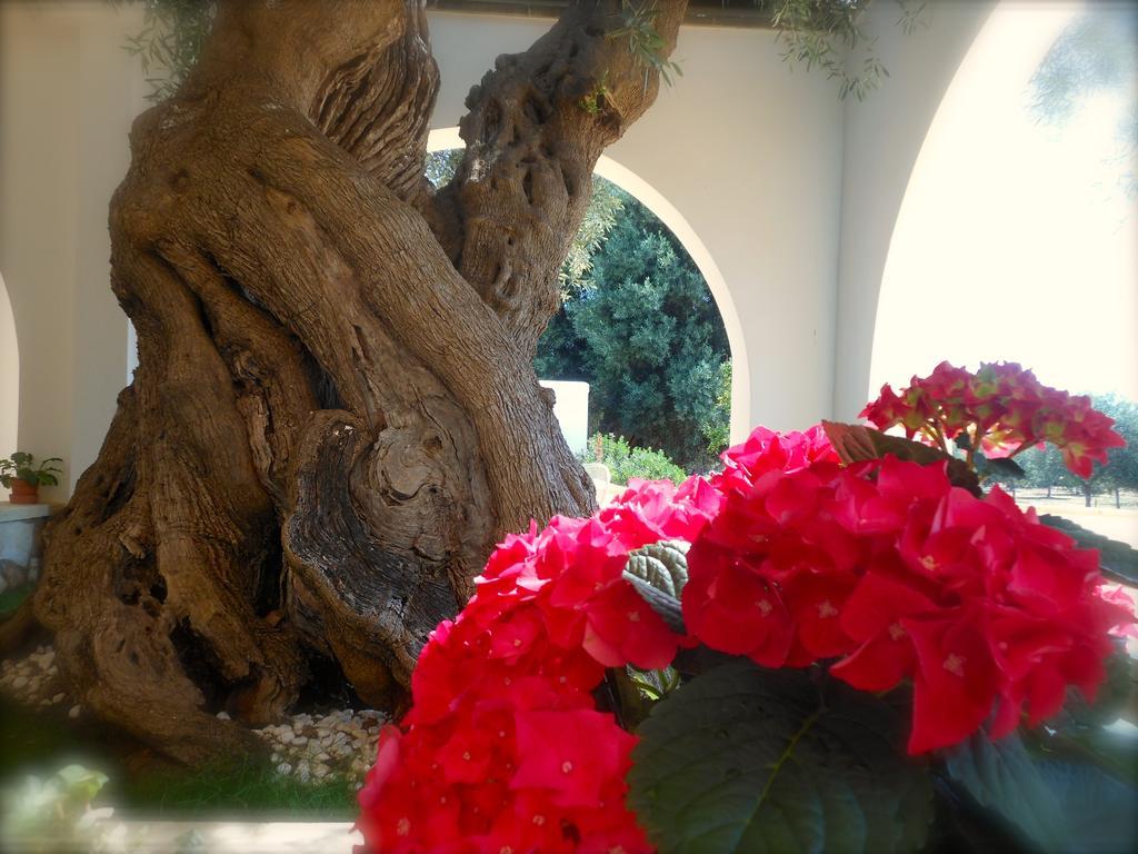 L'Ulivo Bed And Breakfast Savelletri Екстер'єр фото